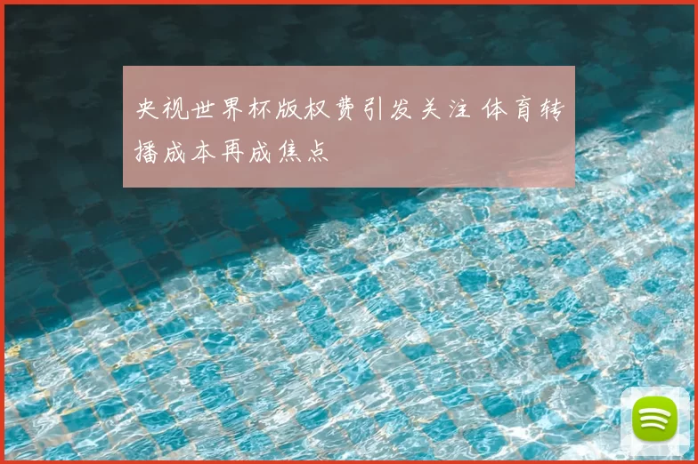 央视世界杯版权费引发关注 体育转播成本再成焦点