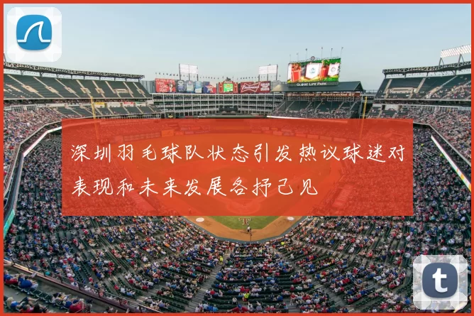 深圳羽毛球队状态引发热议球迷对表现和未来发展各抒己见