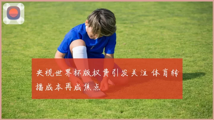 央视世界杯版权费引发关注 体育转播成本再成焦点