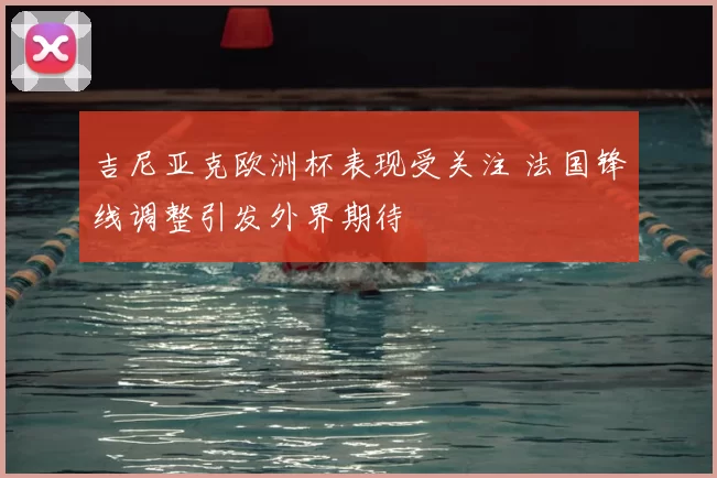 吉尼亚克欧洲杯表现受关注 法国锋线调整引发外界期待