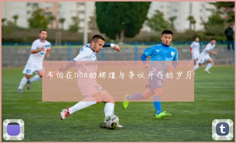 韦伯在nba的辉煌与争议并存的岁月