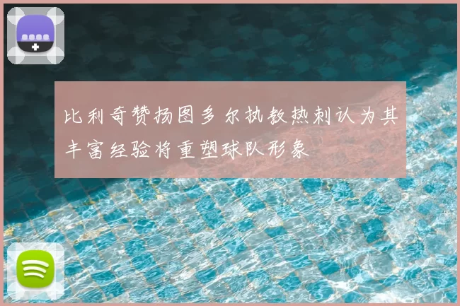 比利奇赞扬图多尔执教热刺认为其丰富经验将重塑球队形象