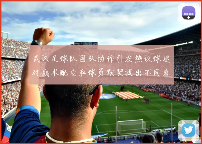 武汉足球队团队协作引发热议球迷对战术配合和球员默契提出不同看法