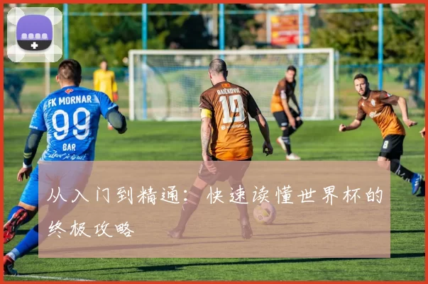 从入门到精通:快速读懂世界杯的终极攻略