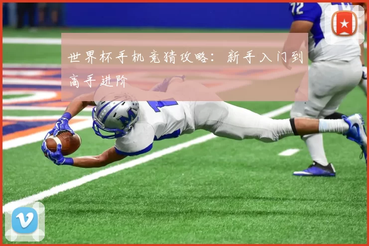 世界杯手机竞猜攻略：新手入门到高手进阶
