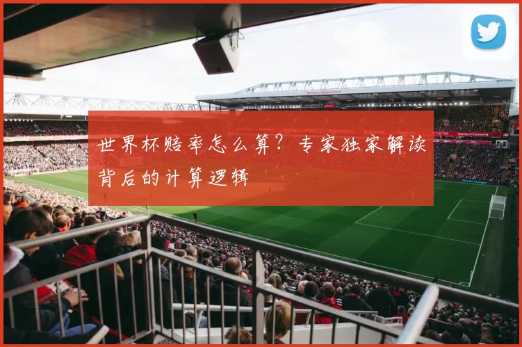 世界杯赔率怎么算?专家独家解读背后的计算逻辑