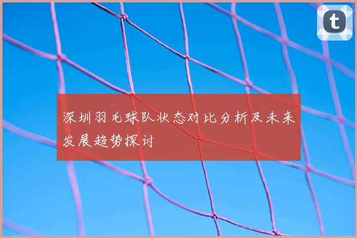 深圳羽毛球队状态对比分析及未来发展趋势探讨