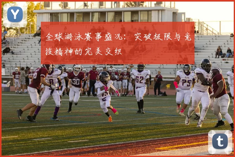 全球游泳赛事盛况：突破极限与竞技精神的完美交织