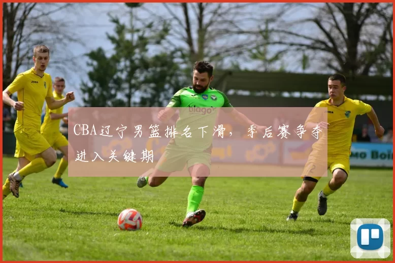 CBA辽宁男篮排名下滑，季后赛争夺进入关键期