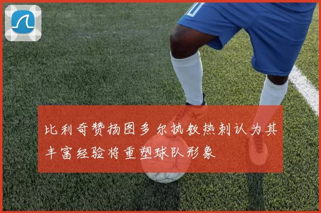 比利奇赞扬图多尔执教热刺认为其丰富经验将重塑球队形象