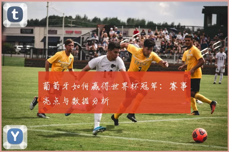 葡萄牙如何赢得世界杯冠军:赛事亮点与数据分析