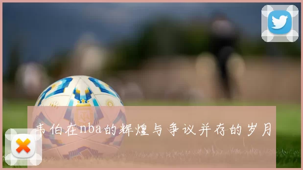 韦伯在nba的辉煌与争议并存的岁月