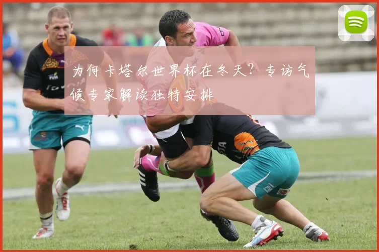 为何卡塔尔世界杯在冬天？专访气候专家解读独特安排