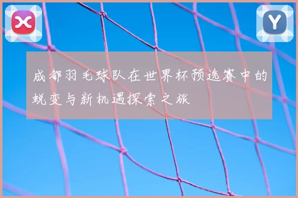 成都羽毛球队在世界杯预选赛中的蜕变与新机遇探索之旅