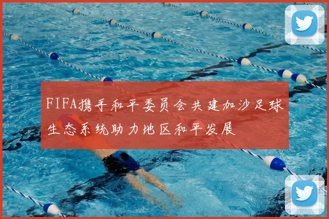 FIFA携手和平委员会共建加沙足球生态系统助力地区和平发展