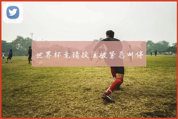 世界杯竞猜投注被紧急叫停
