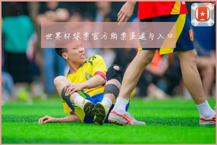 世界杯球票官方购票渠道与入口