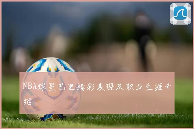 NBA球星巴里精彩表现及职业生涯介绍