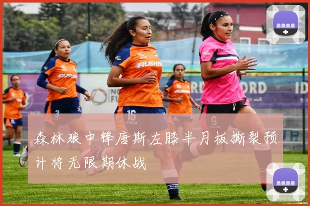 森林狼中锋唐斯左膝半月板撕裂预计将无限期休战